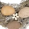 12" Natural Earth Speckled Egg Easter Twig Wreath